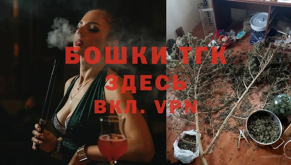 ПСИЛОЦИБИНОВЫЕ ГРИБЫ Балабаново