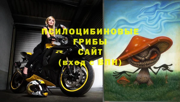 ПСИЛОЦИБИНОВЫЕ ГРИБЫ Балабаново