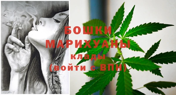 ПСИЛОЦИБИНОВЫЕ ГРИБЫ Балабаново